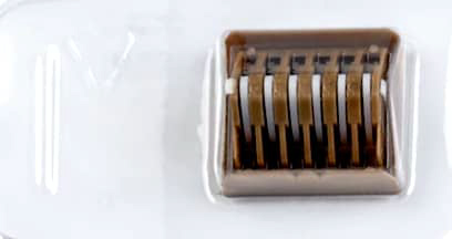 کلیپس همولوگ